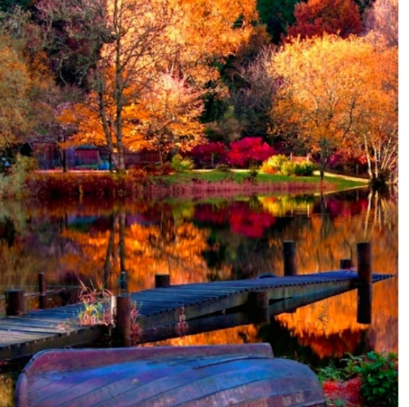 Meet your Posher, Michelle - Picture 5 of 8